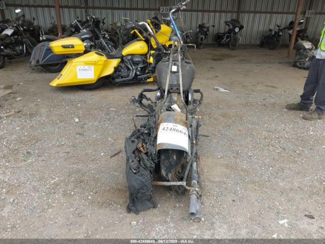 2009 HARLEY-DAVIDSON FXDF 1HD1GY4109K319125 Photo 5
