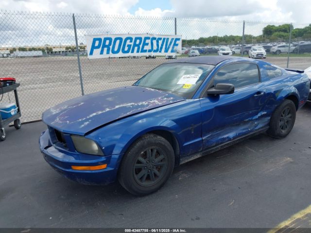 2007 FORD MUSTANG 1ZVFT80N675281601 Photo 1