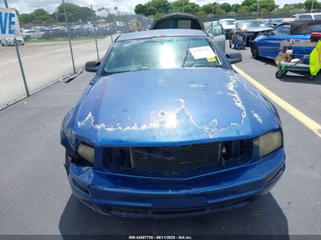 2007 FORD MUSTANG 1ZVFT80N675281601 Photo 5