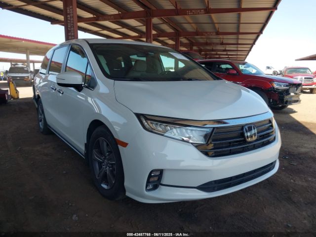 2022 HONDA ODYSSEY 5FNRL6H59NB045593