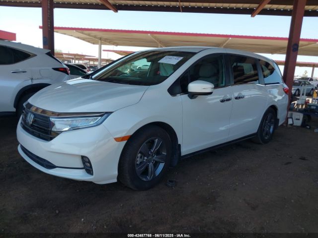 2022 HONDA ODYSSEY 5FNRL6H59NB045593 Photo 1