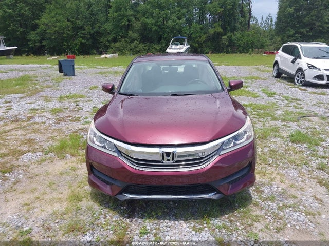 1HGCR2F35GA243437 Honda k24w1