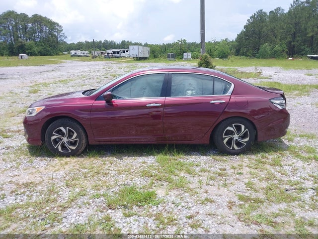 1HGCR2F35GA243437 Honda k24w1