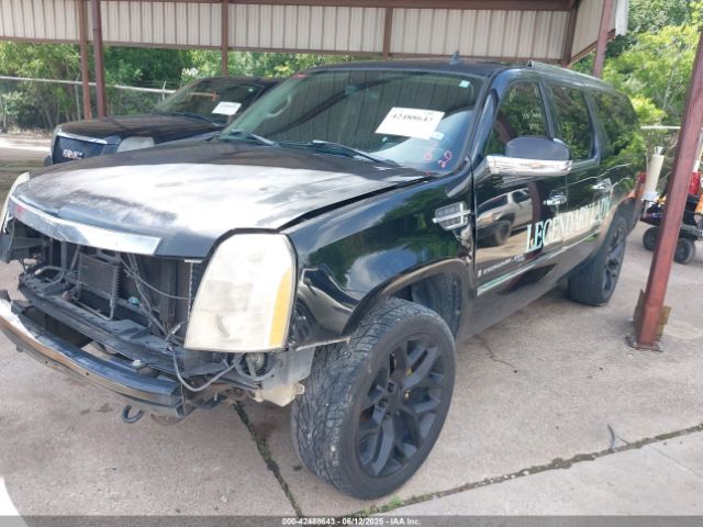2007 CADILLAC ESCALADE ESV 1GYFK66827R305133 Photo 1