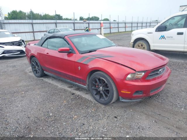 2010 FORD MUSTANG 1ZVBP8EN5A5159265