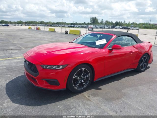 1FAGP8UH1R5106892 Ford Mustang Ecoboost