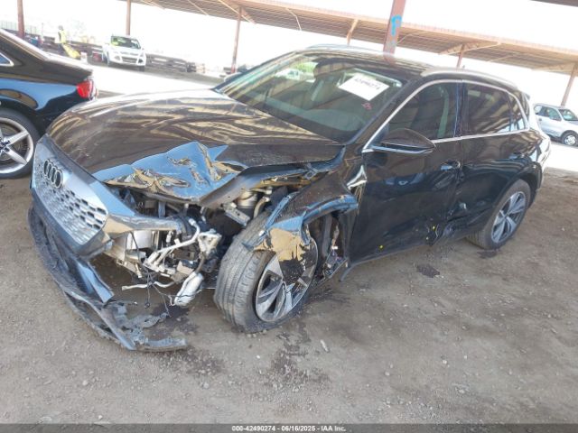 2024 AUDI Q8 E-TRON WA15AAGE2RB033698 Photo 1