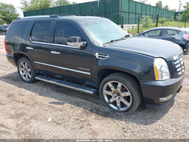 2010 CADILLAC ESCALADE 1GYUKBEF7AR264845