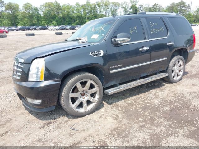 2010 CADILLAC ESCALADE 1GYUKBEF7AR264845 Photo 1