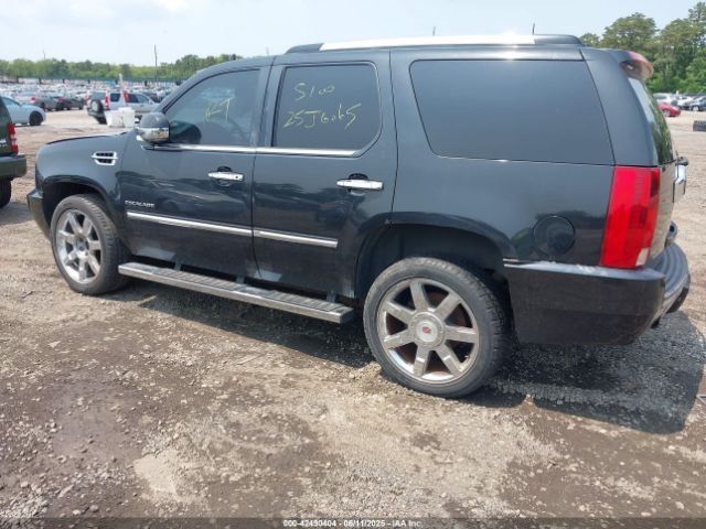 2010 CADILLAC ESCALADE 1GYUKBEF7AR264845 Photo 2