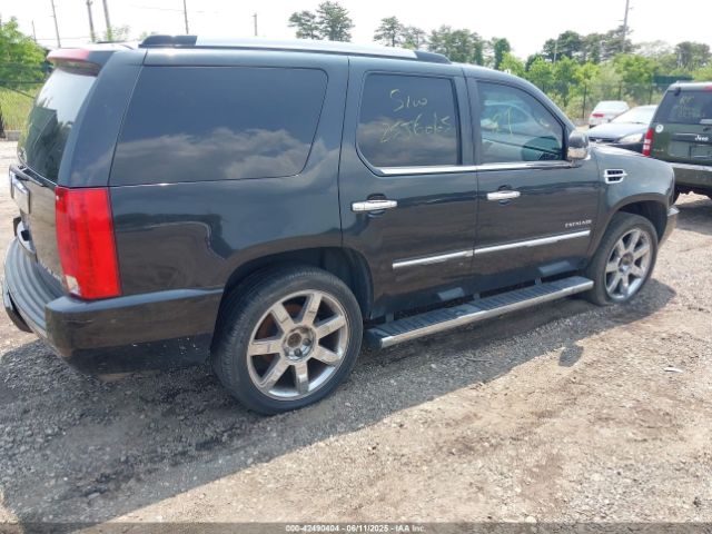 2010 CADILLAC ESCALADE 1GYUKBEF7AR264845 Photo 3