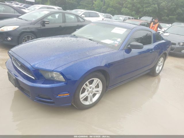 2014 FORD MUSTANG 1ZVBP8AMXE5233430 Photo 1