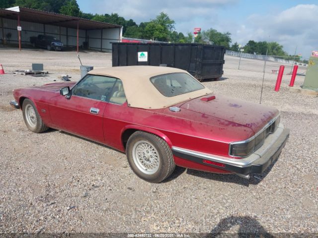 1993 JAGUAR XJS SAJNW4744PC186804 Photo 2