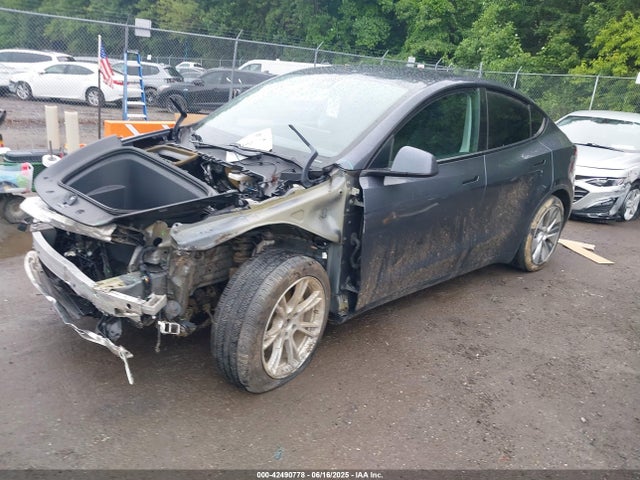 2020 TESLA MODEL Y 5YJYGDEE2LF048017 Photo 1