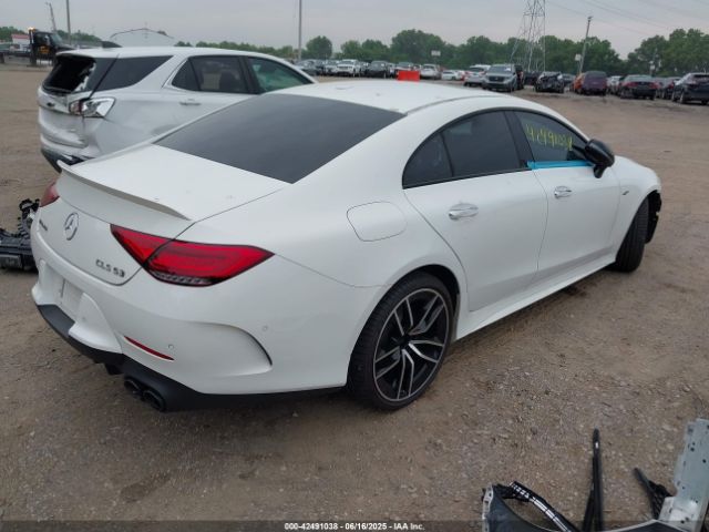 2019 MERCEDES-BENZ AMG CLS 53 WDD2J6BB1KA031736 Photo 3