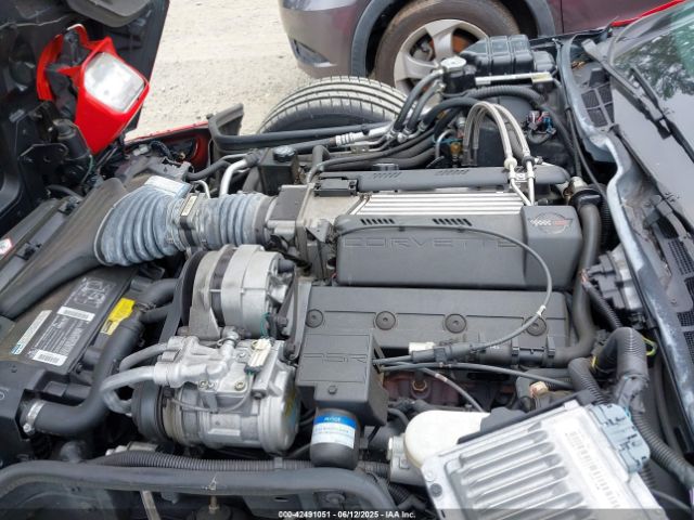 1994 CHEVROLET CORVETTE 1G1YY22P4R5106655 Photo 9