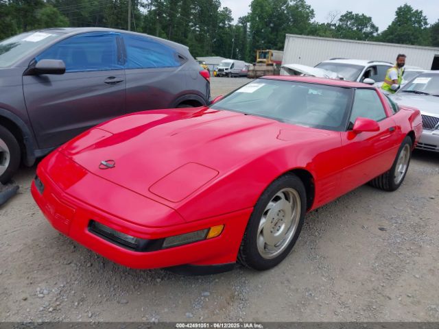 1994 CHEVROLET CORVETTE 1G1YY22P4R5106655 Photo 1