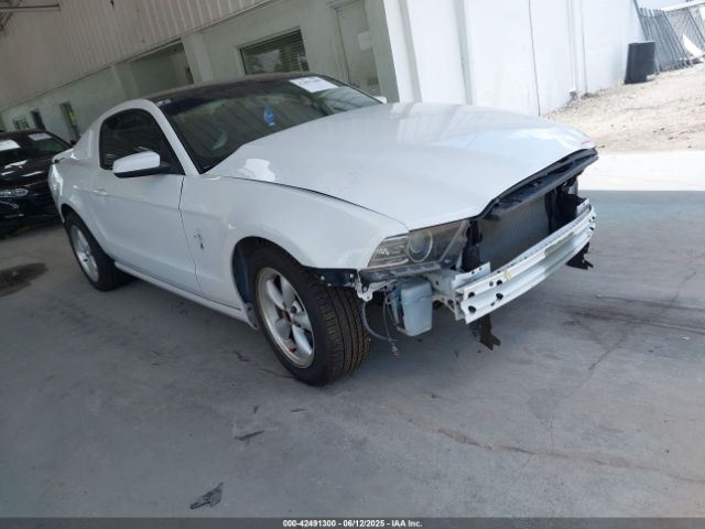 2014 FORD MUSTANG 1ZVBP8AMXE5248106