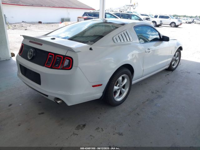 2014 FORD MUSTANG 1ZVBP8AMXE5248106 Photo 3