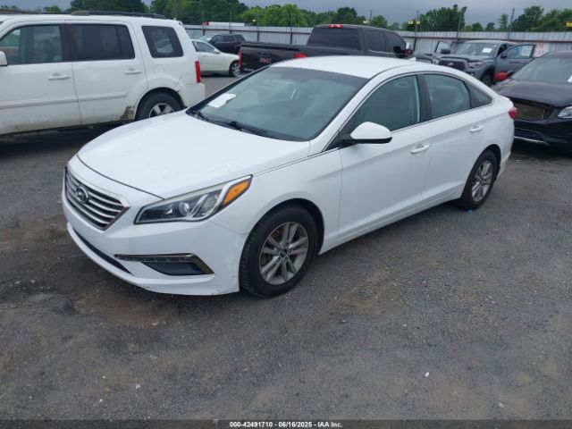 5NPE24AF6FH156517 Hyundai SONATA SE