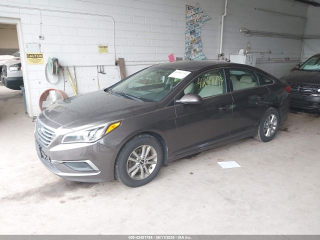 5NPE24AF2HH484343 Hyundai Sonata