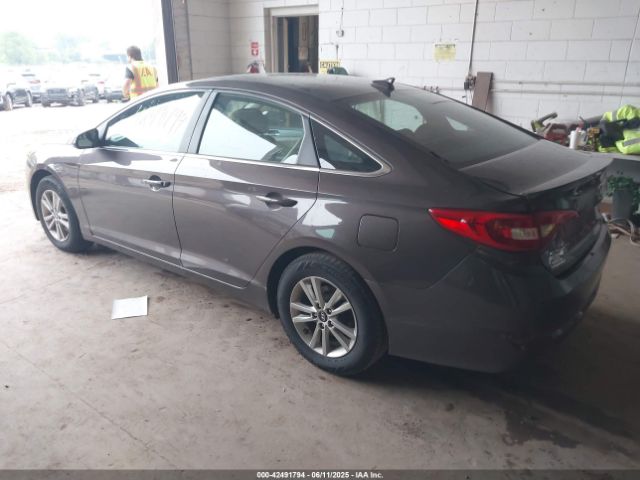 5NPE24AF2HH484343 Hyundai Sonata