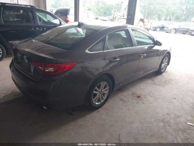 5NPE24AF2HH484343 Hyundai Sonata
