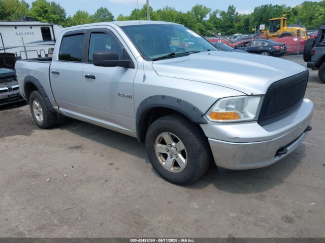 2010 DODGE RAM 1500 1D7RV1CP3AS197393