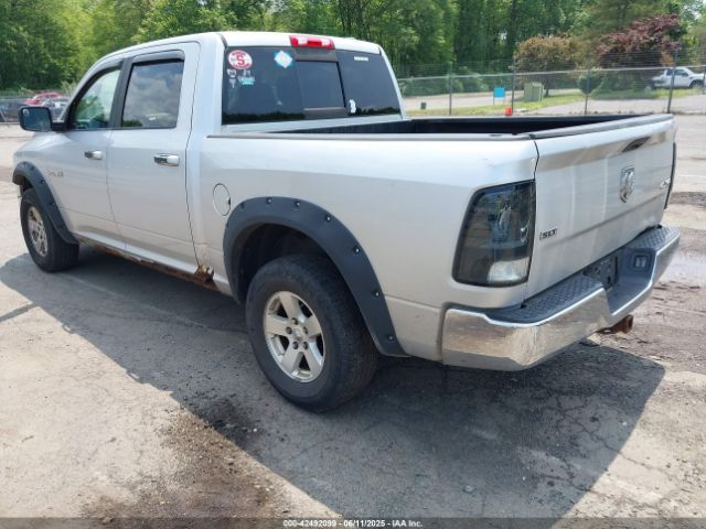 2010 DODGE RAM 1500 1D7RV1CP3AS197393 Photo 2