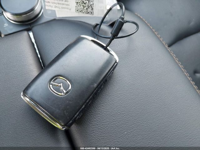 2024 MAZDA CX-90 JM3KK1HC0R1135680 Photo 10