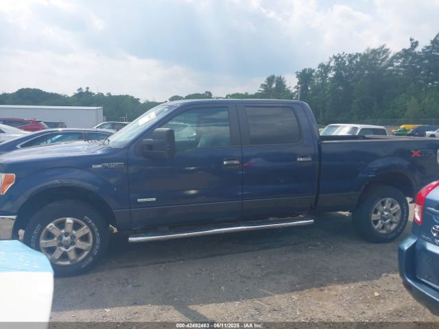 2013 FORD F-150 1FTFW1ET5DFD28566 Photo 5