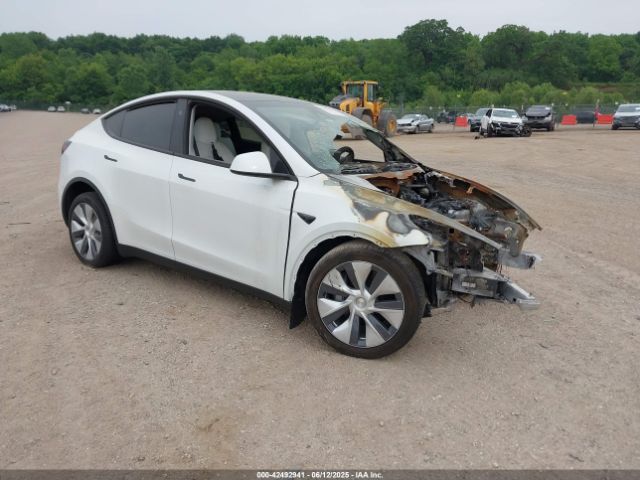 2023 TESLA MODEL Y 7SAYGDEE9PA193528 Photo 0
