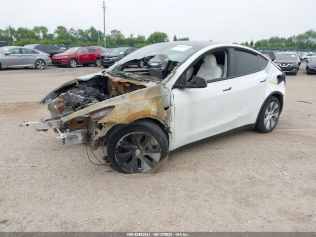 2023 TESLA MODEL Y 7SAYGDEE9PA193528 Photo 1