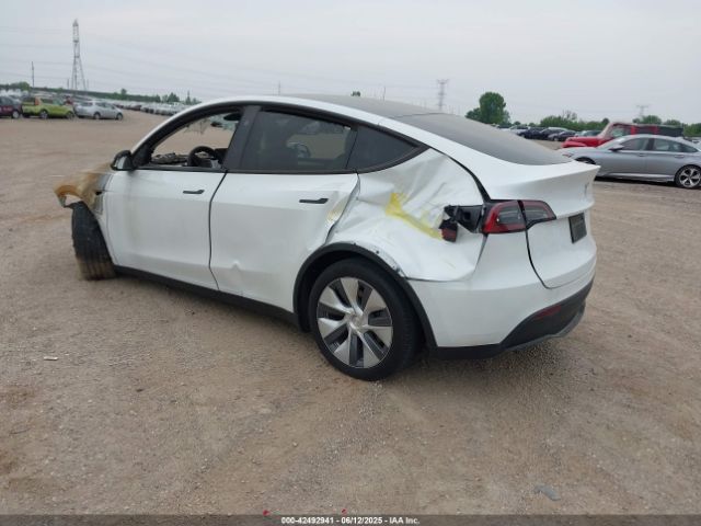 2023 TESLA MODEL Y 7SAYGDEE9PA193528 Photo 2