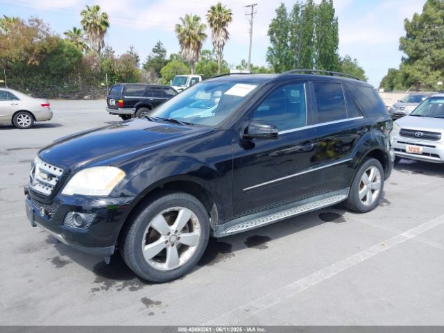2011 MERCEDES-BENZ ML 350 4JGBB5GB3BA642633 Photo 1