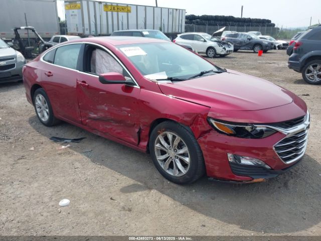 2019 CHEVROLET MALIBU 1G1ZD5ST0KF228119