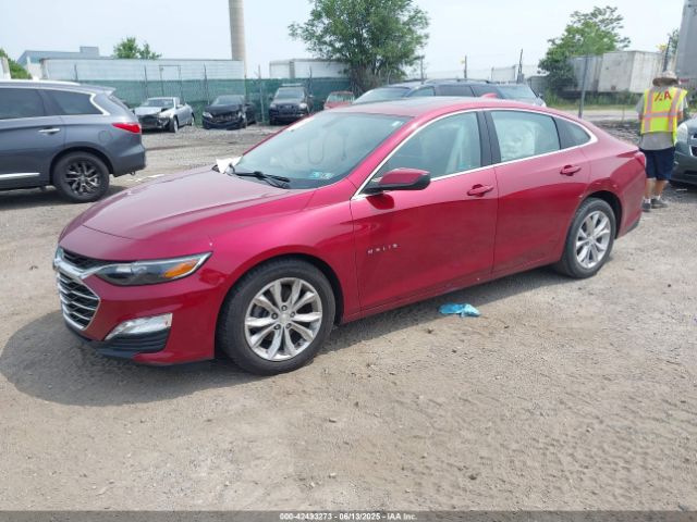 2019 CHEVROLET MALIBU 1G1ZD5ST0KF228119 Photo 1