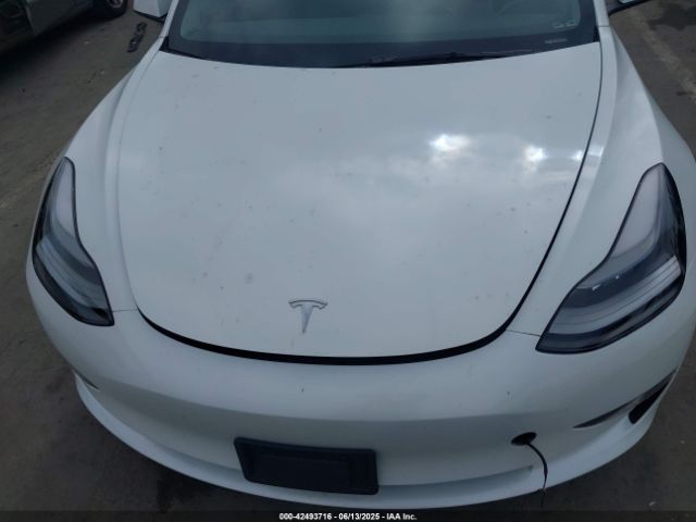 2023 TESLA MODEL 3 5YJ3E1EA5PF496902 Photo 5