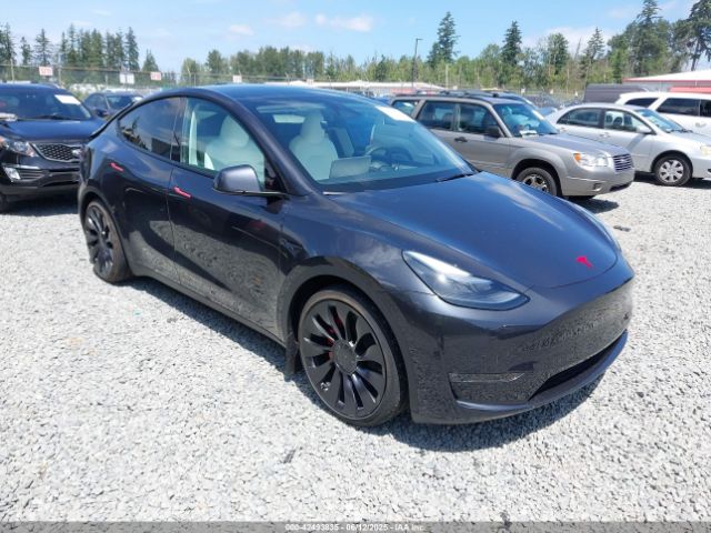 2025 TESLA MODEL Y 7SAYGDEF3SF254196