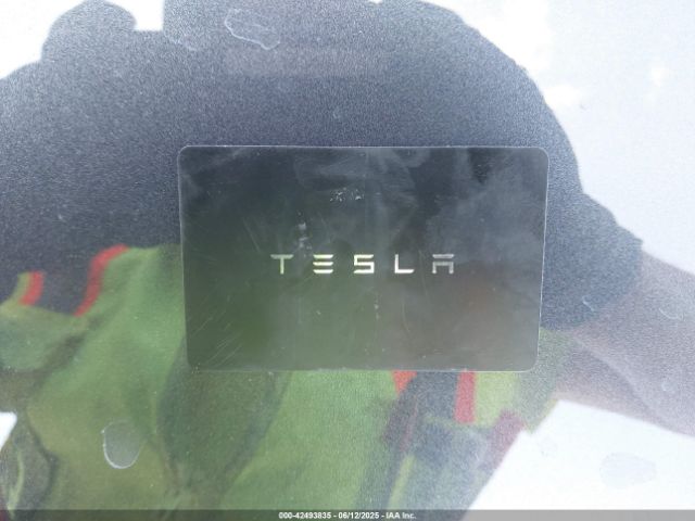 2025 TESLA MODEL Y 7SAYGDEF3SF254196 Photo 10