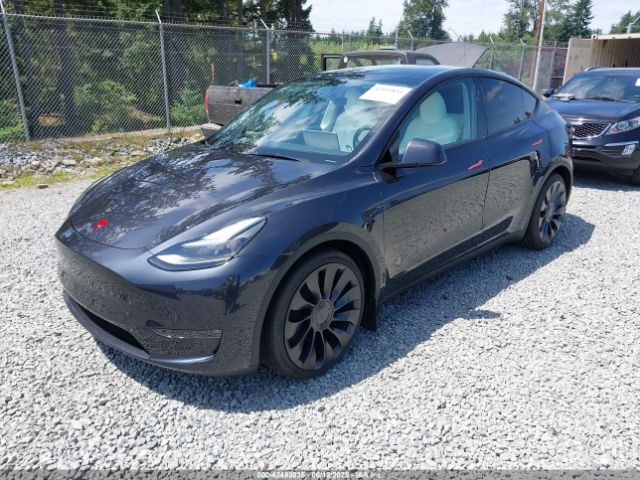 2025 TESLA MODEL Y 7SAYGDEF3SF254196 Photo 1