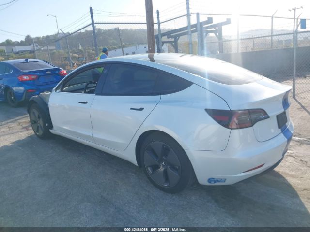 5YJ3E1EA3MF923537 Tesla 2021