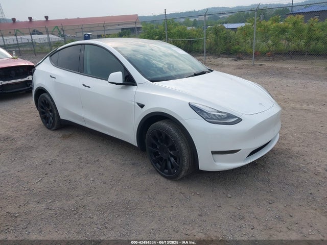 2023 TESLA MODEL Y 7SAYGDEE6PA135196 Photo 0