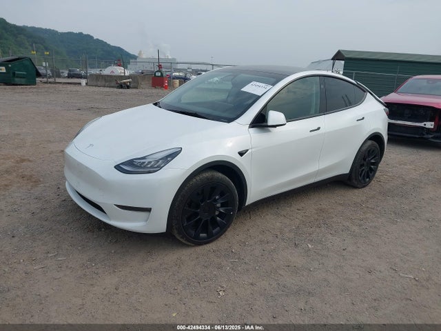 2023 TESLA MODEL Y 7SAYGDEE6PA135196 Photo 1