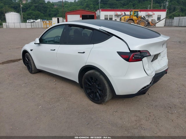 2023 TESLA MODEL Y 7SAYGDEE6PA135196 Photo 2