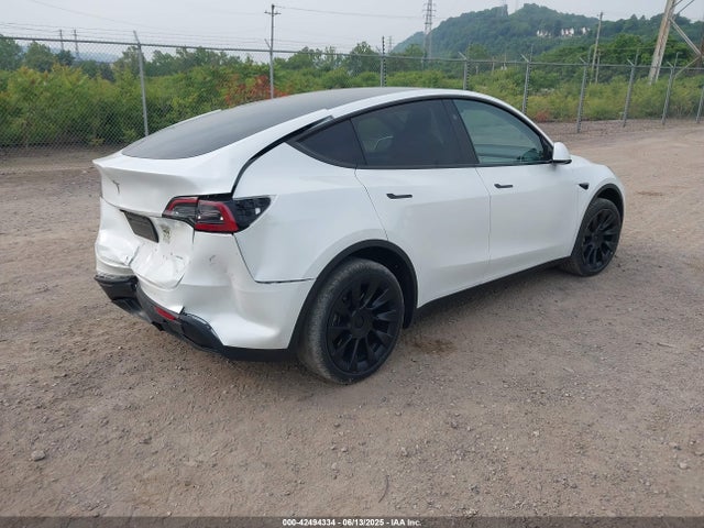 2023 TESLA MODEL Y 7SAYGDEE6PA135196 Photo 3