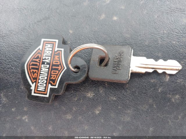 2008 HARLEY-DAVIDSON XL1200 1HD1CZ3178K441109 Photo 10