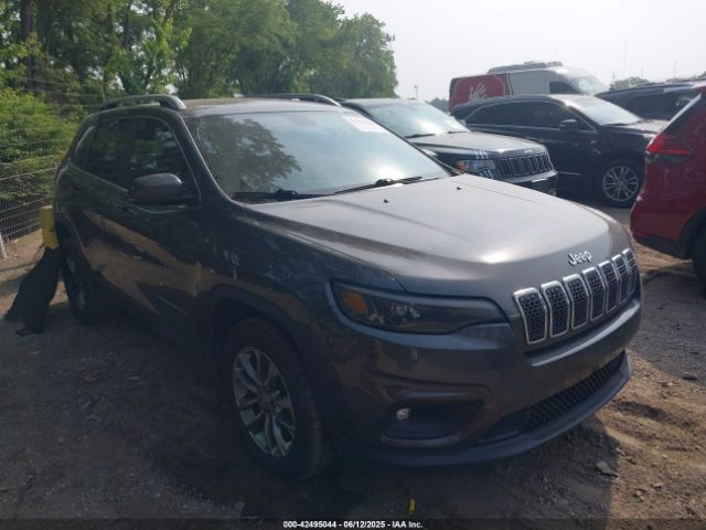 2019 JEEP CHEROKEE 1C4PJLLX3KD110171
