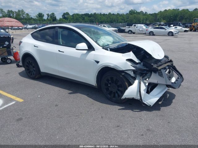 2023 TESLA MODEL Y 7SAYGDEE0PA032291 Photo 0