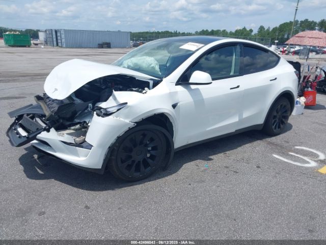 2023 TESLA MODEL Y 7SAYGDEE0PA032291 Photo 1
